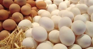 أزمة البيض تتصاعد فى أمريكا وسط توقعات بارتفاع أسعاره بنسبة 41% خلال 2025