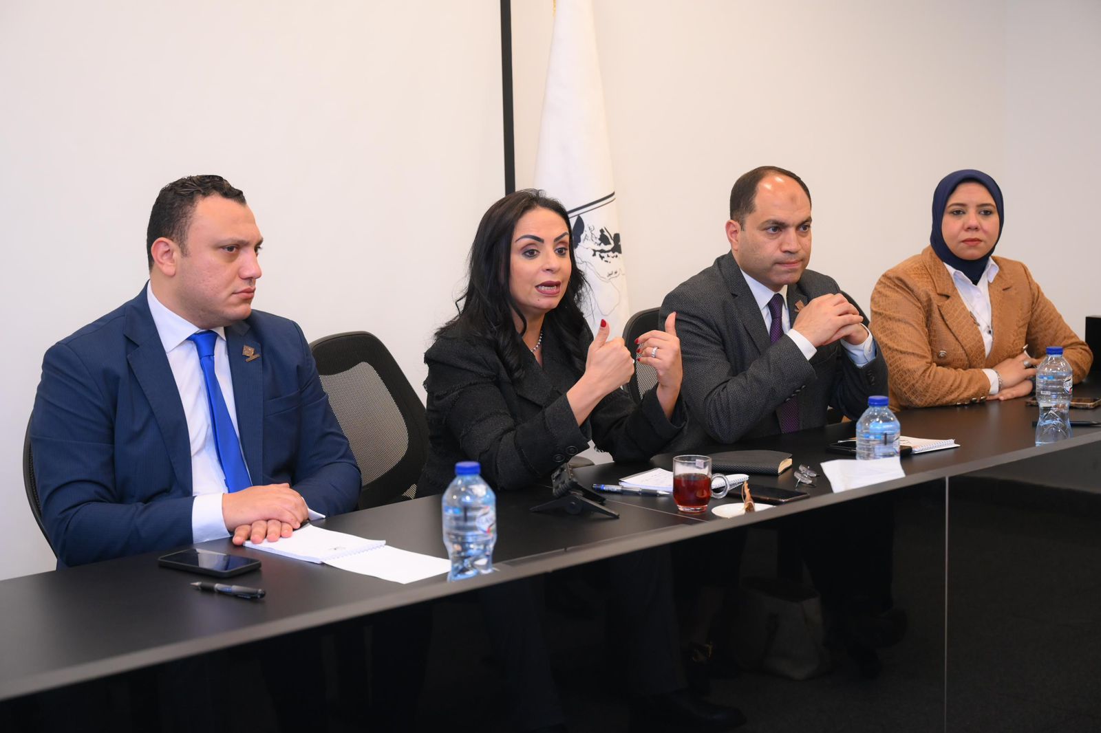 تنسيقية شباب الأحزاب تلتقي وزيرة التضامن لمناقشة قضايا الحماية الاجتماعية