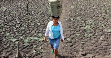 تكنولوجيا: نقص المعلومات وارتفاع الوفيات.. علماء يحذرون من عواقب طرد 800 خبير مناخ