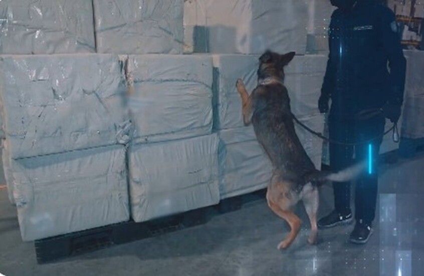 الخليج اليوم .. السعودية.. إحباط 4 محاولات لتهريب المخدرات (فيديو)