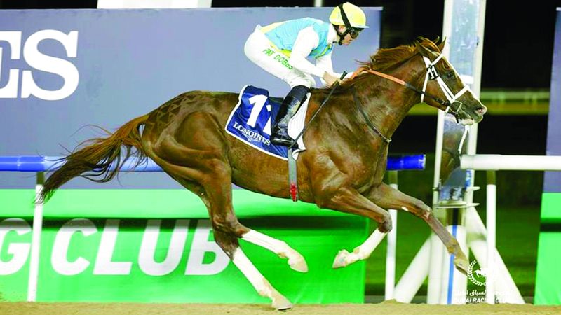 الامارات | 101 خيل تنافس على ألقاب «سوبر ساترداي» في ميدان اليوم