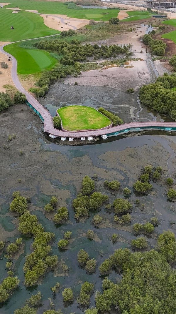 "بلدية عجمان".. مبادرات مبتكرة لترسيخ الاستدامة وحماية البيئة