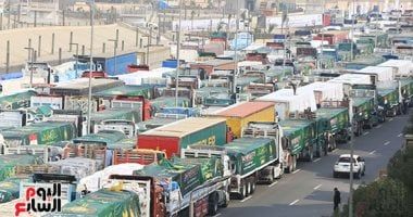 الأزهر يُدين منع الاحتلال دخول المساعدات إلى غزة ويؤكد: جبن وجريمة مستنكرة