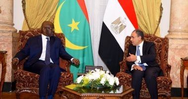 وزير الخارجية يؤكد ضرورة إقامة دولة فلسطينية مستقلة على حدود 67