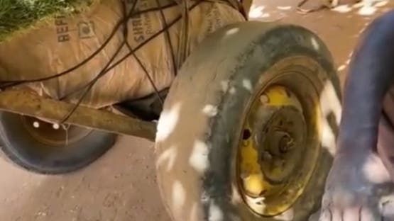 “الشفشافة” ينهبون موائد الصائمين في أول أيام رمضان