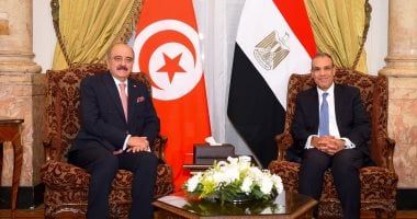 وزير الخارجية: تهجير أهالى غزة مرفوض.. ولا بديل عن دولة فلسطينية