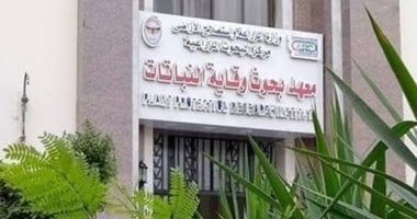 وقاية النباتات يستقبل خبراء فى تربية النحل للتوأمة بين مصر والاتحاد الأوروبي