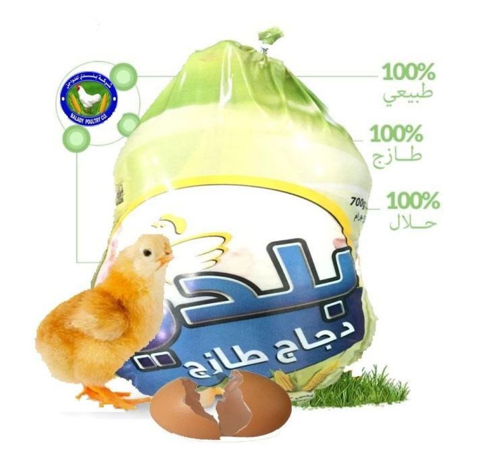 ارتفاع أرباح «بلدي للدواجن» إلى 118 مليون ريال في 2024