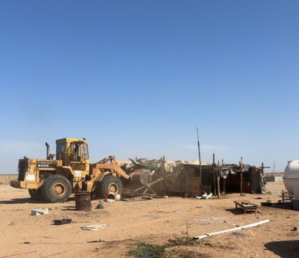 أمانة المنطقة.. إزالة 7 حظائر أغنام عشوائية في "ذهبان جدة"