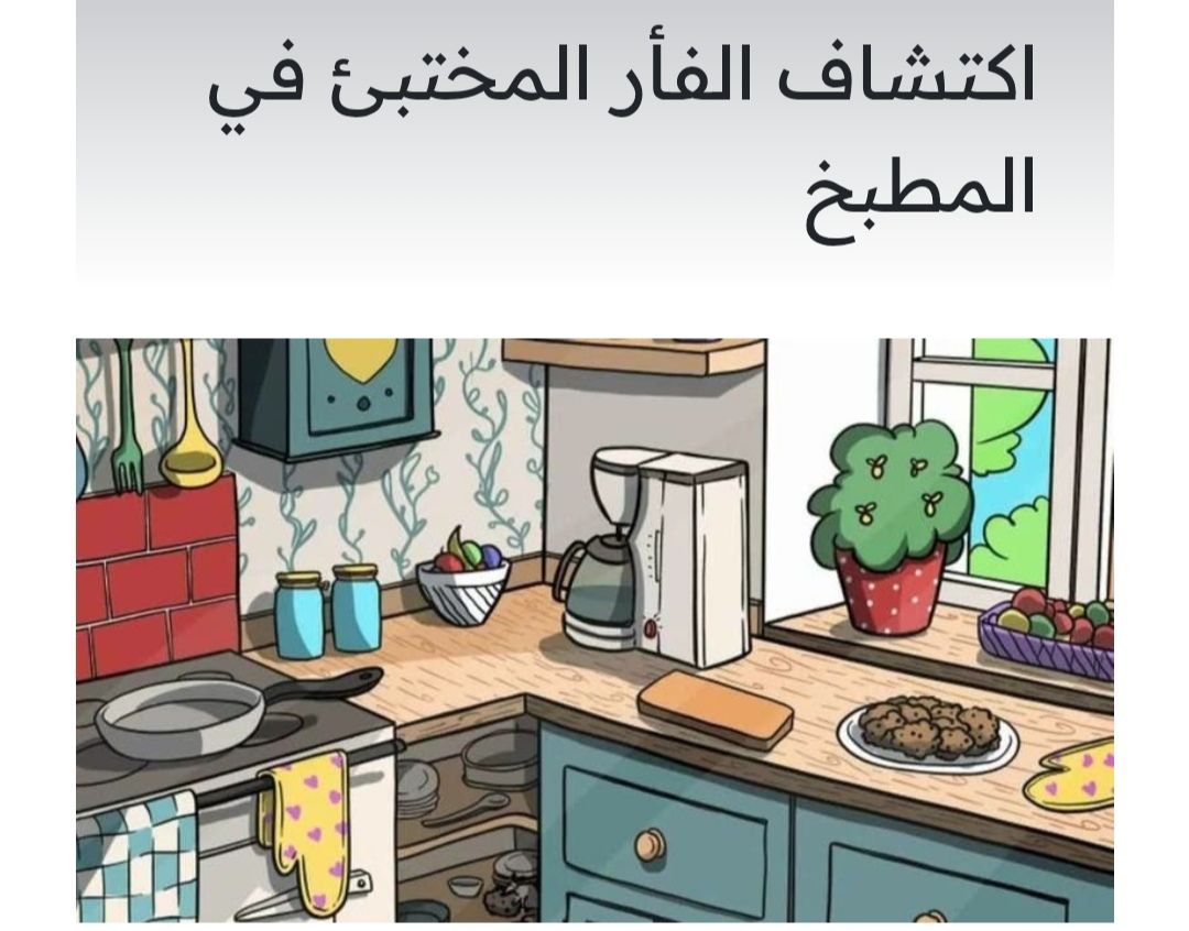 ركّز جيداً.. 1 % فقط استطاعوا اكتشاف الفأر المختبئ داخل المطبخ بـ15 ثانية..