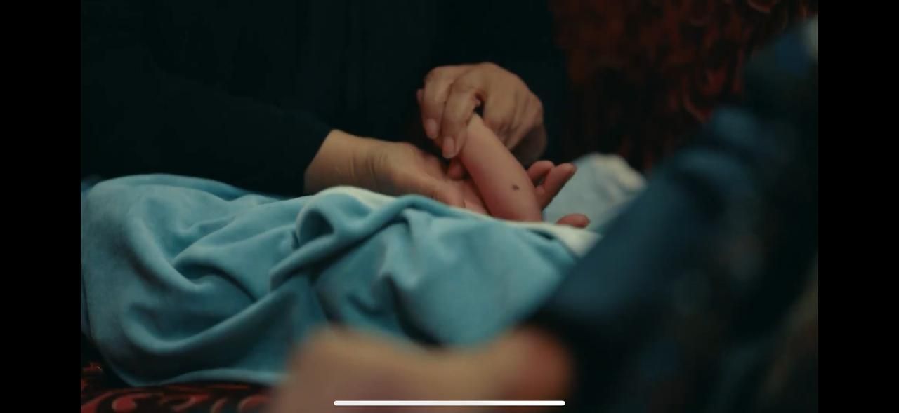 مسلسل حكيم باشا الحلقة 5.. الكشف عن نتيجة تحليل DNA لمصطفى شعبان