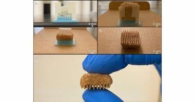 تكنولوجيا: تقنيات متقدمة لتحويل الخبز لأقطاب كربونية لتطبيقات تحلية المياه