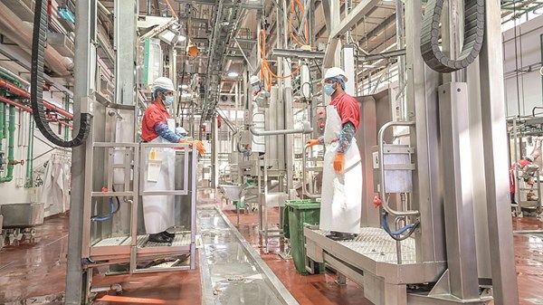 «مسالخ أبوظبي» وتطبيقاتها الذكية جاهزة لخدمة المتعاملين