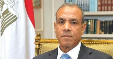 وزير الخارجية يؤكد على حشد الدعم الدولى لخطة التعافى وإعادة إعمار وتنمية غزة