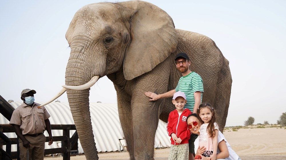 حمدان بن محمد يوجه باستقبال طفلة فنلندية مريضة بالسرطان في دبي وتوفير برنامج سياحي متميز لها