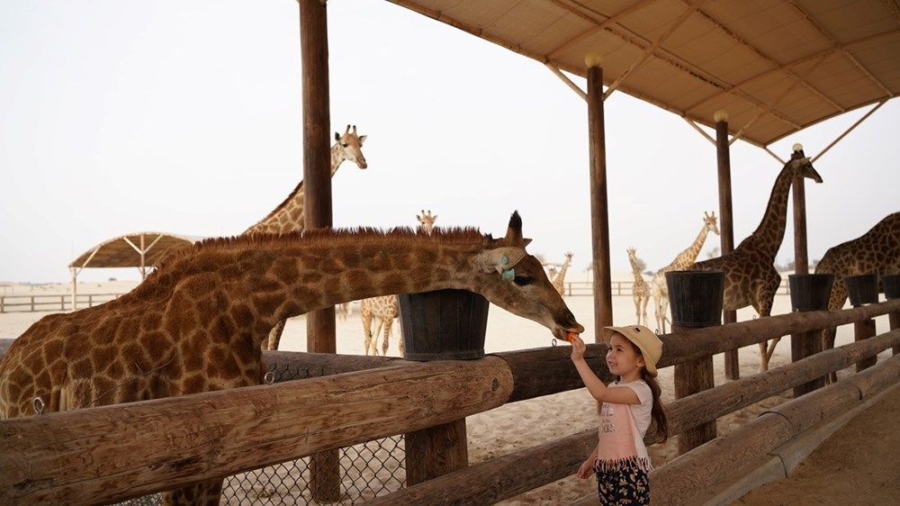 حمدان بن محمد يوجه باستقبال طفلة فنلندية مريضة بالسرطان في دبي وتوفير برنامج سياحي متميز لها