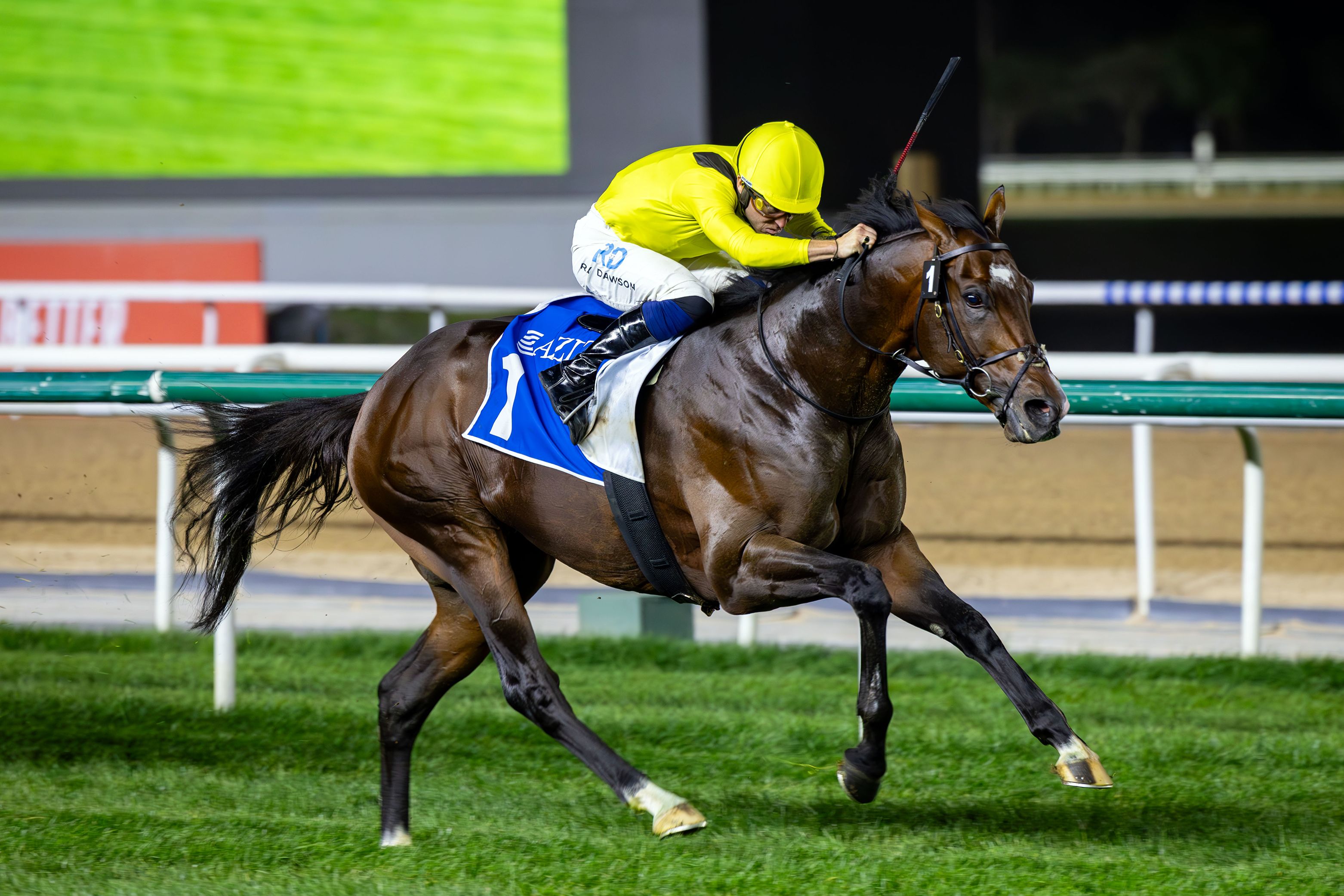 الامارات | «مربان» يظفر بسباق رأس الخور في ميدان