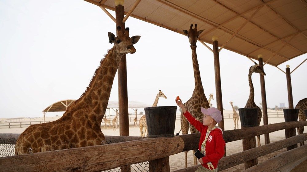 حمدان بن محمد يوجه باستقبال طفلة فنلندية مريضة بالسرطان في دبي وتوفير برنامج سياحي متميز لها