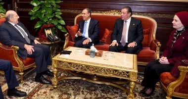 وزير الخارجية يلتقى عبدالوهاب عبدالرازق ولجنتى العلاقات الخارجية بـ"النواب والشيوخ"