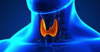 تعرف على اضطرابات الغدد الصماء وأغذية تساعد فى الوقاية