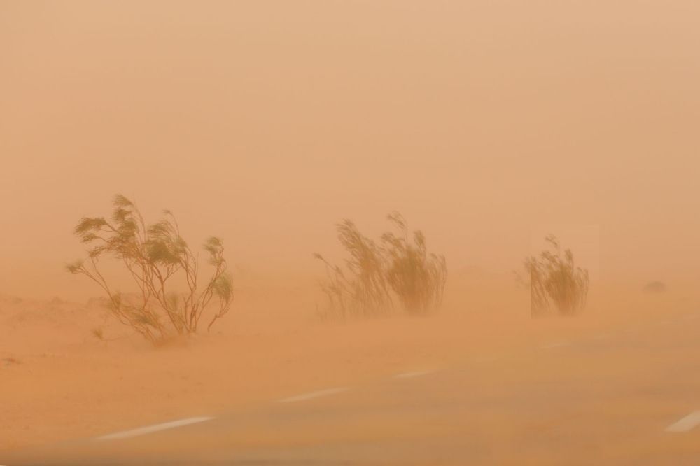 الأماكن والمواعيد.. ضباب متباين الشدة على أجزاء من 8 مناطق