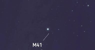 شاهد جرم خافت قرب الشعرى ألمع نجم فى السماء الليلة فى مشهد بديع