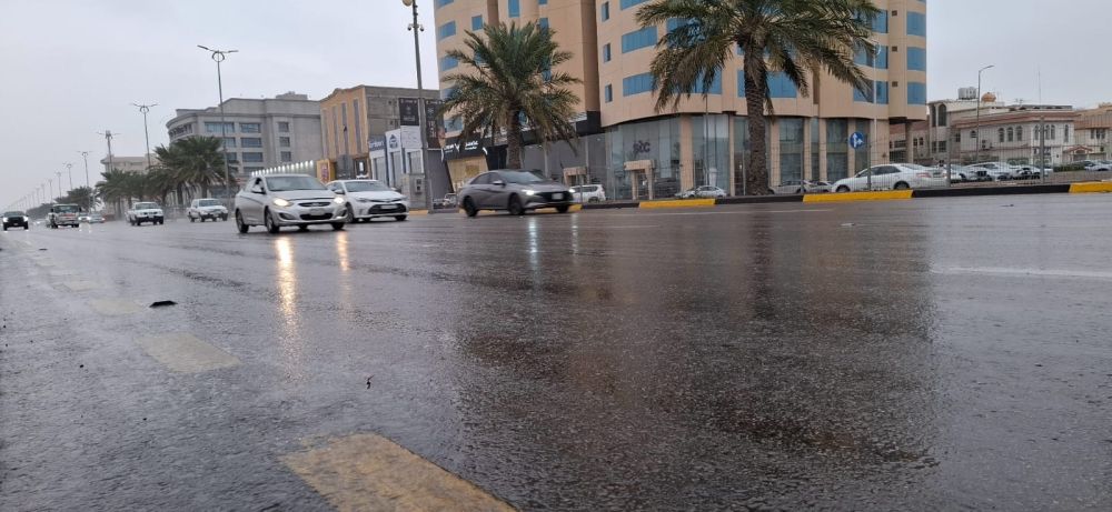 الأماكن والمواعيد.. ضباب متباين الشدة على أجزاء من 10 مناطق