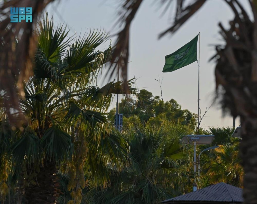 صور| الأعلام تزين شوارع الحدود الشمالية ونجران احتفاءً بيوم العلم