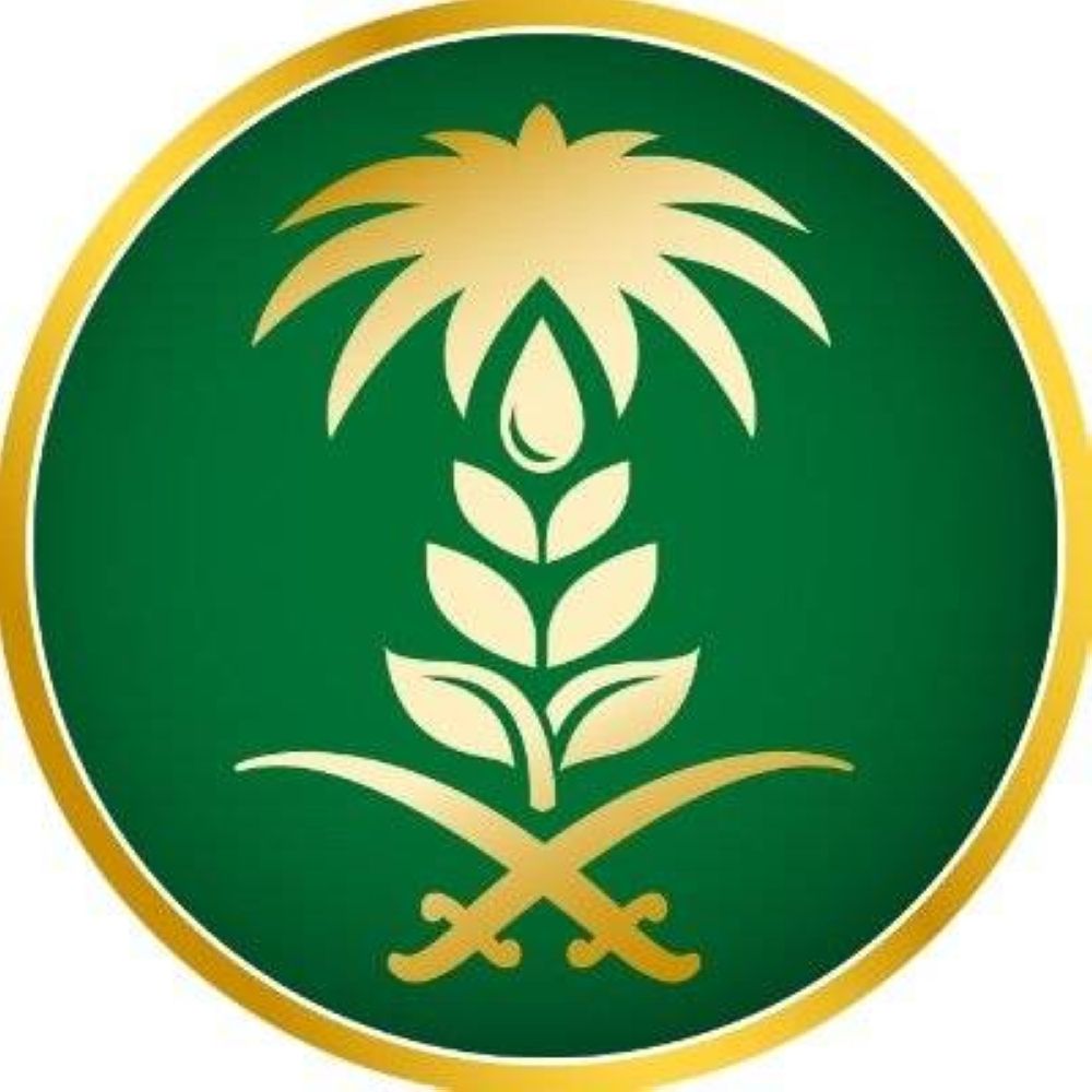 هطول أمطار في 7 مناطق.. والشرقية تسجل أعلى كمية بـ 6.2 ملم في حفر الباطن