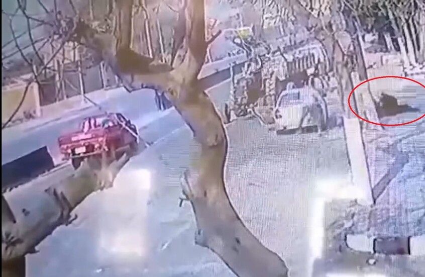 فيديو مروع لسيدة حامل يثير ضجة واسعة "شاهد"