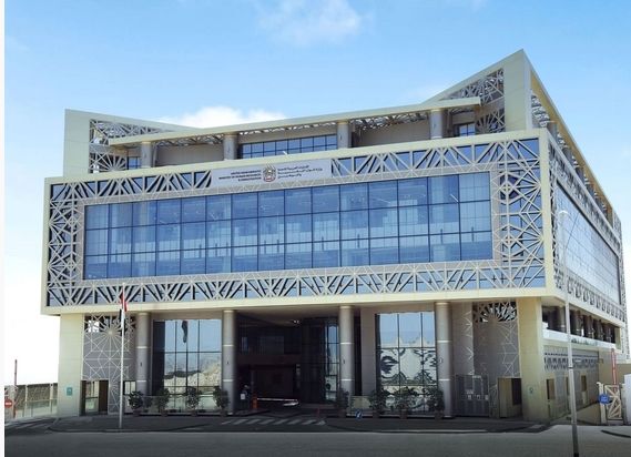 "الموارد البشرية والتوطين" تنجز أكثر من 34 مليون معاملة ذكية خلال 2024