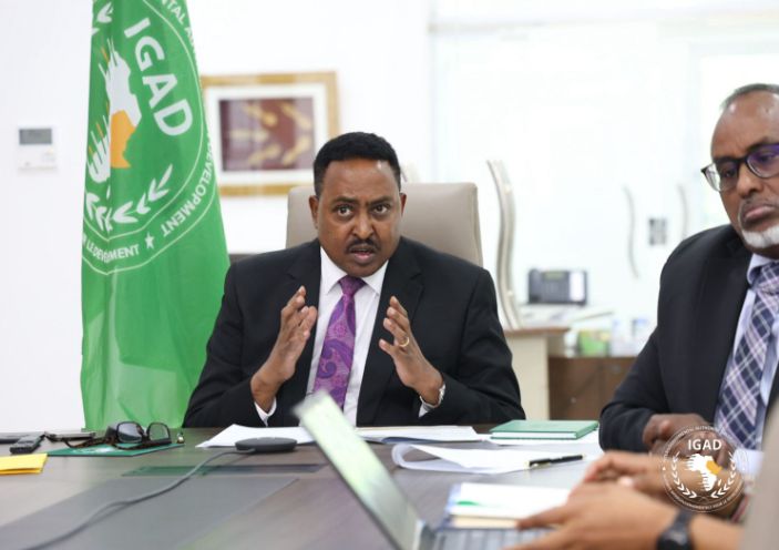 قمة استثنائية لمنظمة "الإيجاد" بشأن تصاعد التوترات فى جنوب السودان