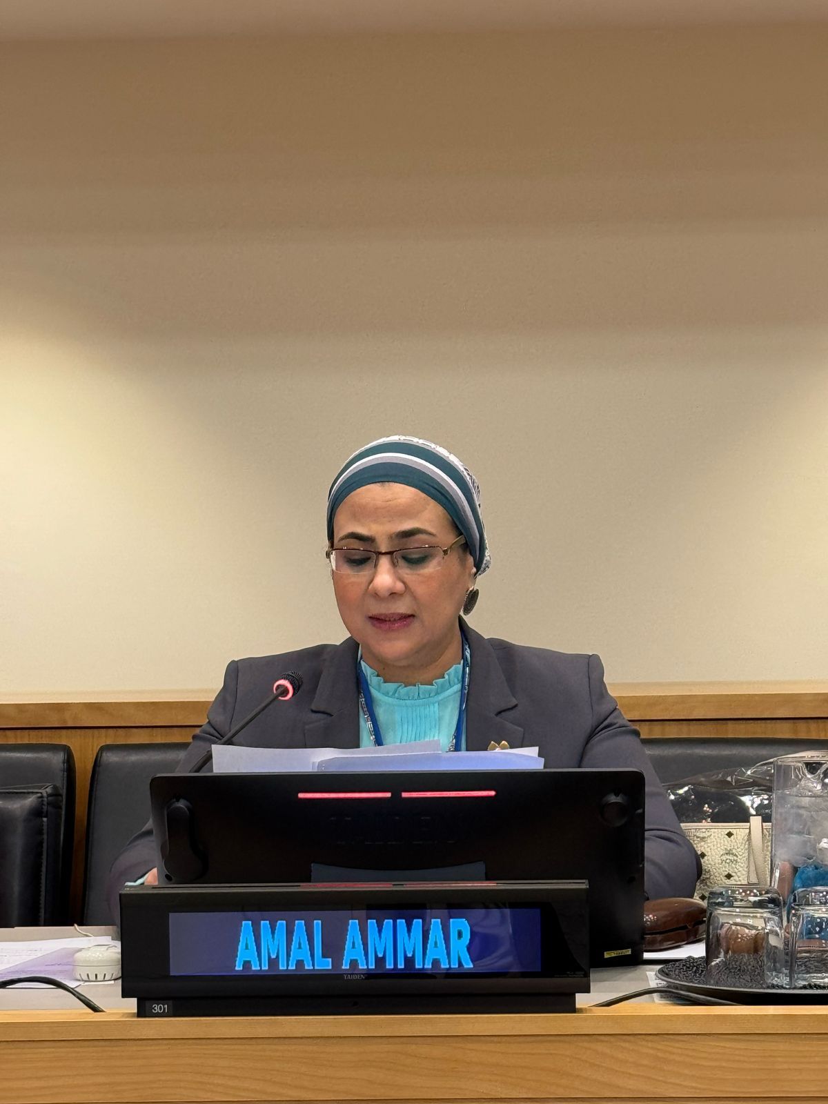 المستشارة أمل عمار: تعزيز دور المرأة فى المجتمع أصبح نهجا ثابتا تتبناه الدولة