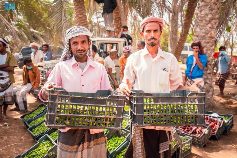 البرنامج السعودي لإعمار اليمن.. 264 مشروعًا لدعم القطاعات الحيوية