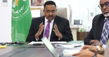 قمة استثنائية لمنظمة "الإيجاد" بشأن تصاعد التوترات فى جنوب السودان