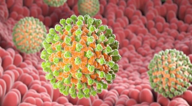 انتشار فيروس H1N1 في لبنان.. تحذيرات من تفشي العدوى وهذه طرق الوقاية