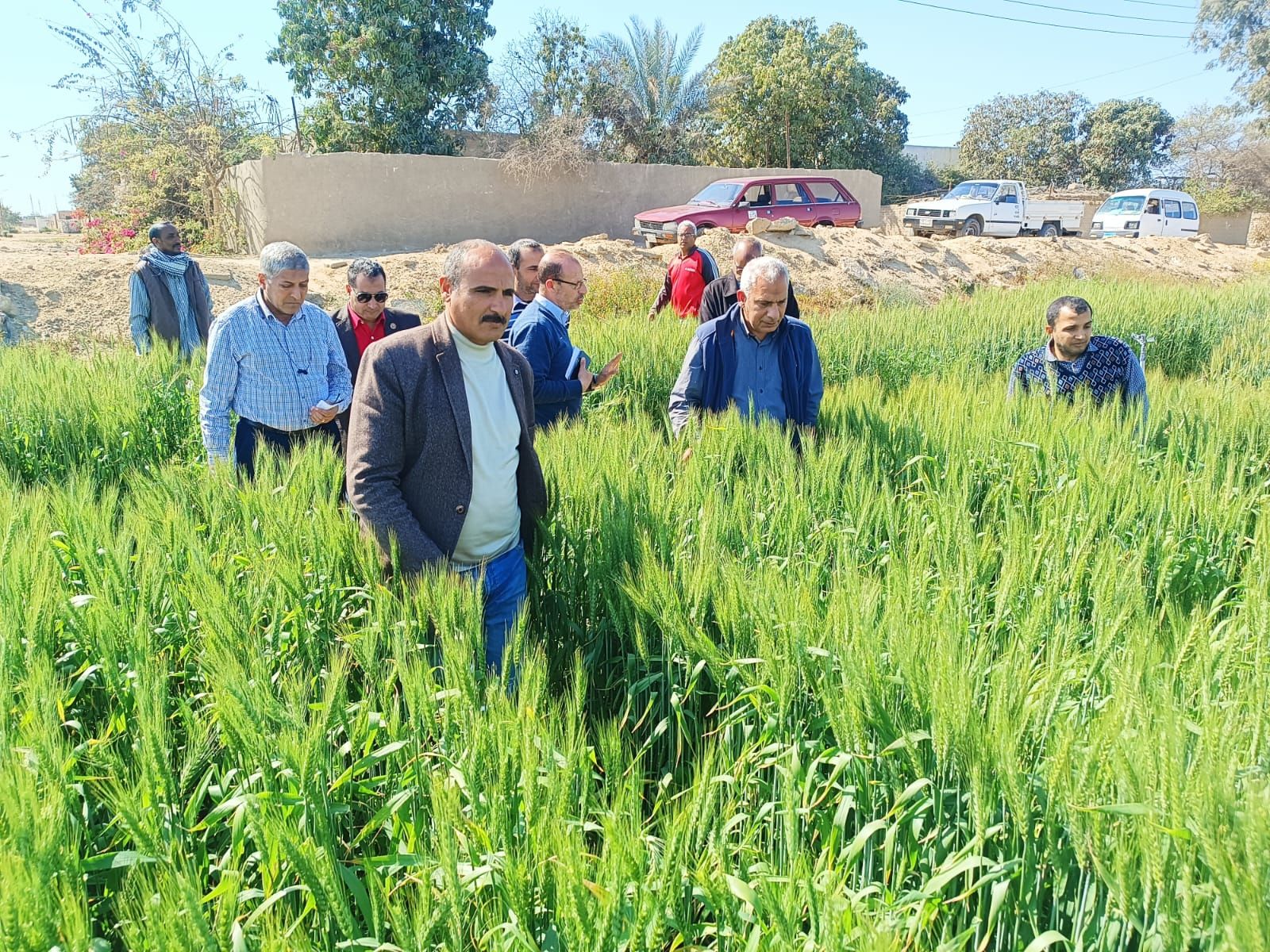 وكيل البحوث الزراعية للإنتاج يتفقد المحطات بالشرقية والإسماعيلية