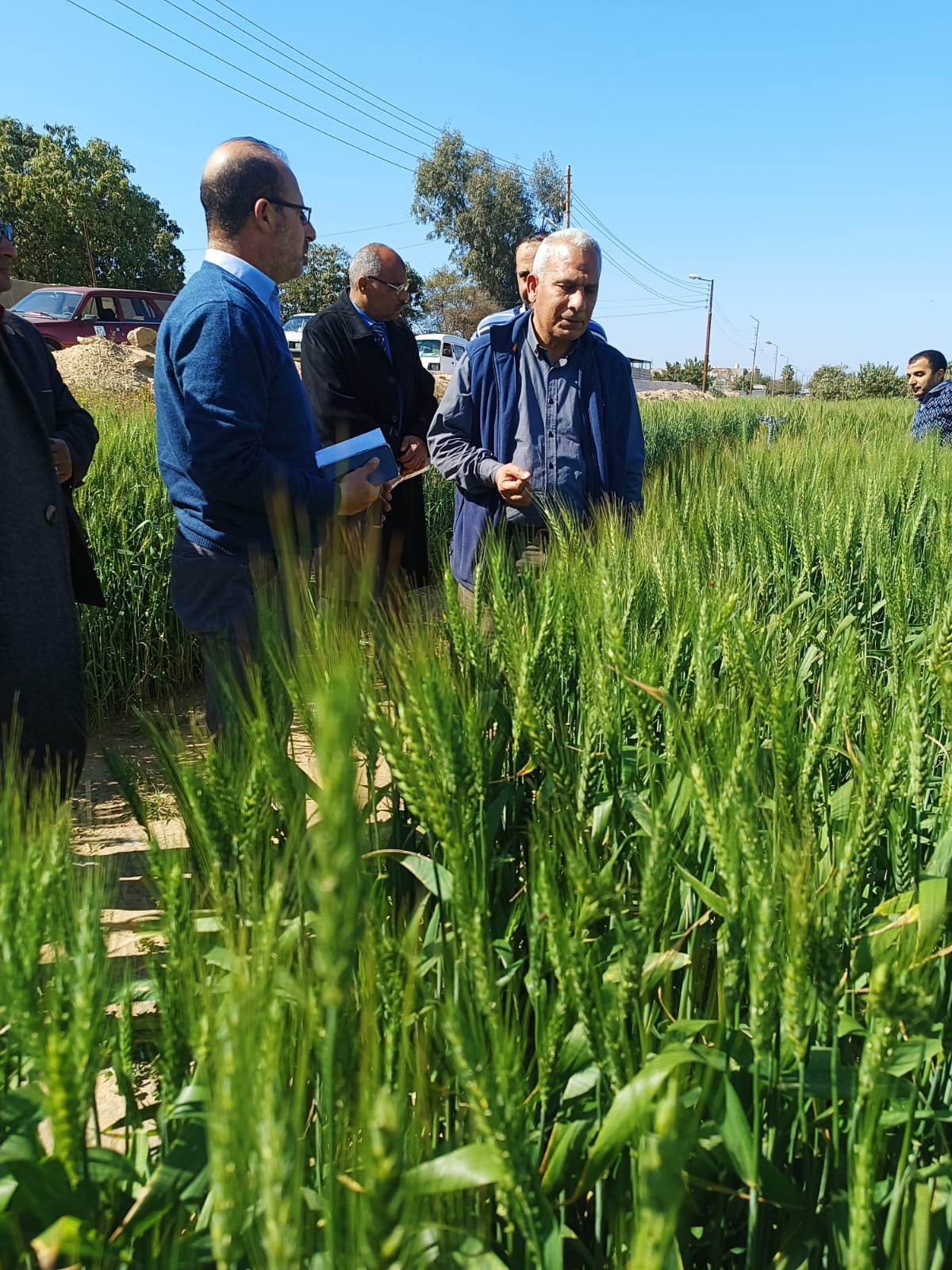 وكيل البحوث الزراعية للإنتاج يتفقد المحطات بالشرقية والإسماعيلية