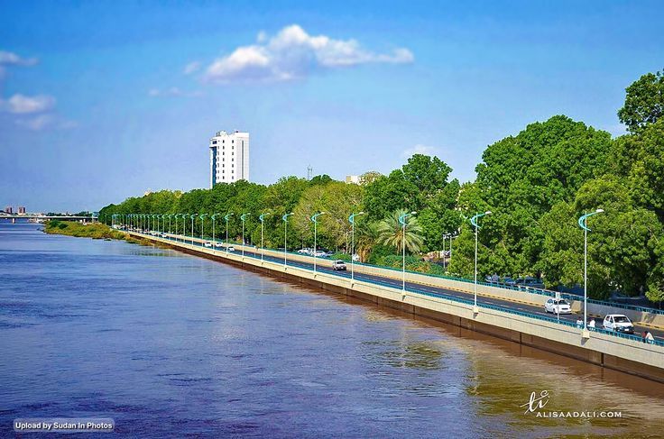 شاهد بالفيديو.. وسط أجواء وصفها شهود عيان بــ(الخرافية).. شارع النيل الخرطوم يتحول إلى غابة وأشجاره تنتج ثمار وفواكه طبيعية