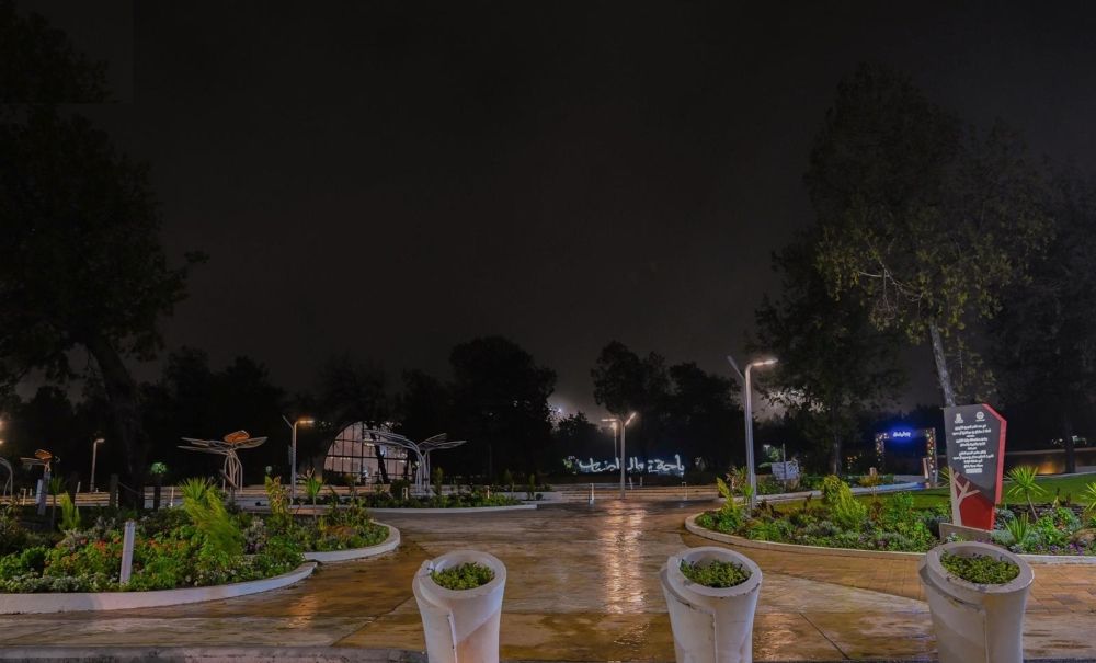 طقس الصباح الباكر.. ضباب متباين الشدة على أجزاء من 4 مناطق