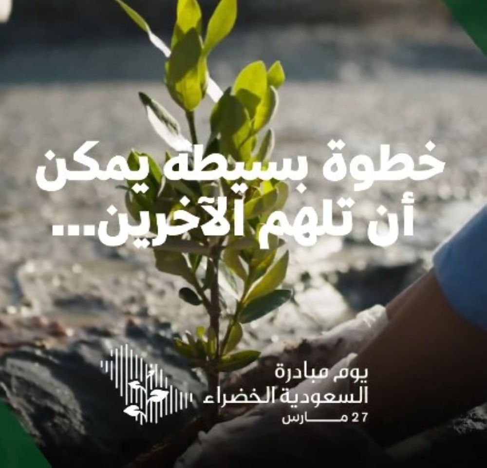 مبادرة السعودية الخضراء.. ريادة في مجال الاستدامة محليًا ودوليًا
