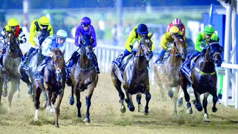 الامارات | 124 خيلاً تتنافس على ألقاب الأمسية الختامية في «كرنفال سباقات دبي»