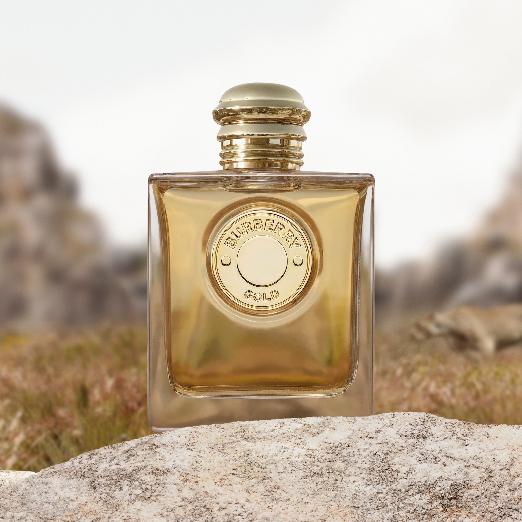 بربري غولد المركز.. عطر جديد يجسد الأناقة والقوة