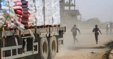 غداً.. اجتماع لوزيري الخارجية والصحة والسفراء الأجانب وممثلي المنظمات بشأن غزة