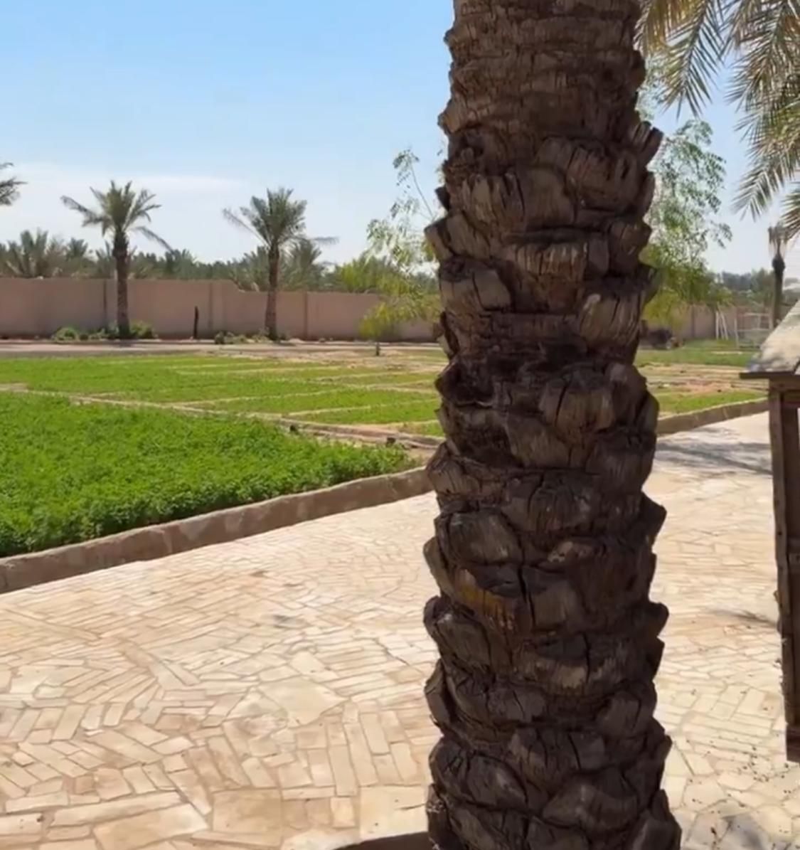 الزعاق: اليوم هو آخر موسم العقارب .. فيديو