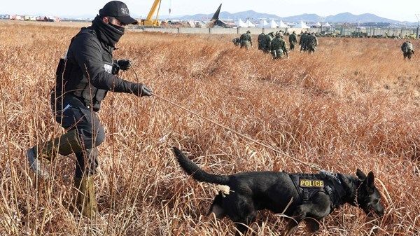 تصادم بين طائرتين في كوريا الجنوبية