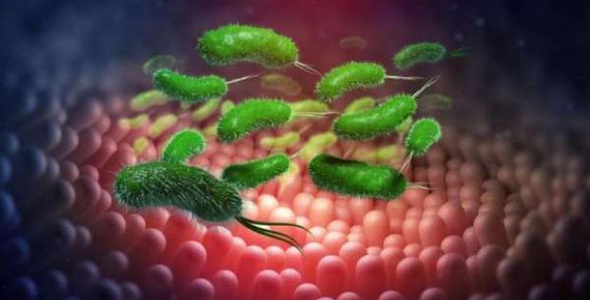 عادة خاطئة تصيبك بجرثومة المعدة في رمضان.. تجنبها