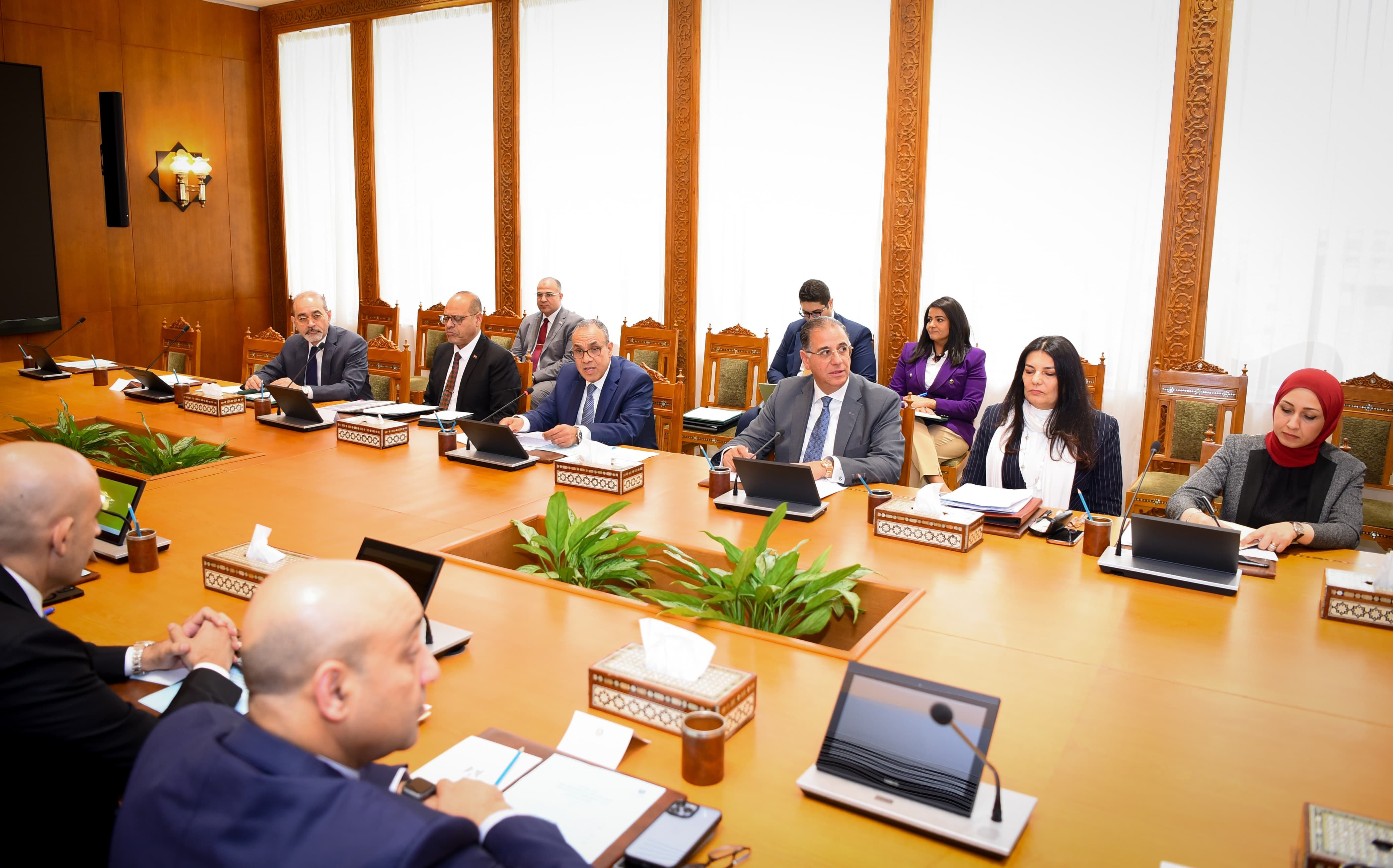 وزير الخارجية والهجرة يستقبل وزراء التعليم العالى والتربية والتعليم والعمل