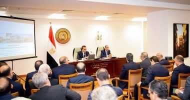 وزير الخارجية: خطة إعادة إعمار غزة حصلت على تأييد إقليمى ودولى واسع