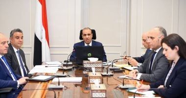 وزير الخارجية والهجرة يعقد اجتماعاً افتراضياً مع سفراء مصر بالخارج